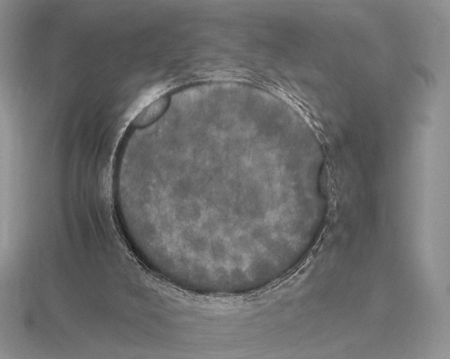 X0000115660008200912101101