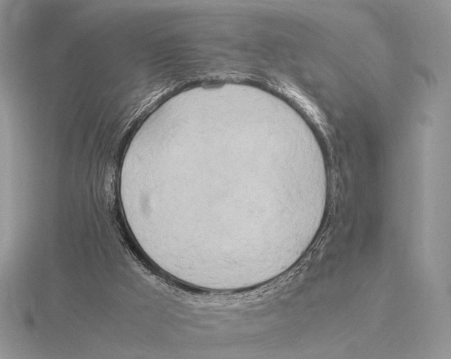 X0000115660009200912101101