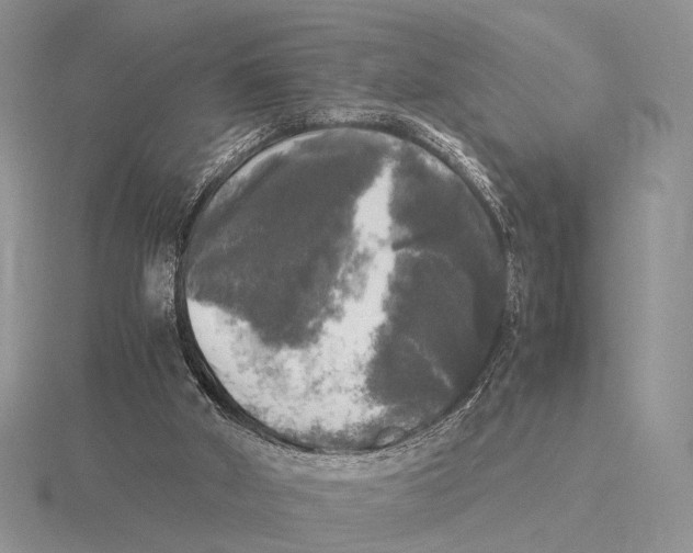 X0000115660010200912101101