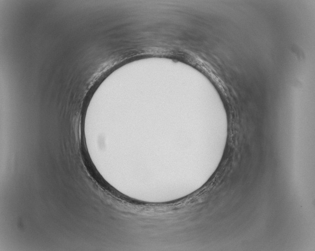 X0000115660011200912101101