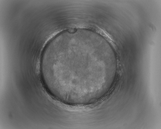 X0000115660012200912101101