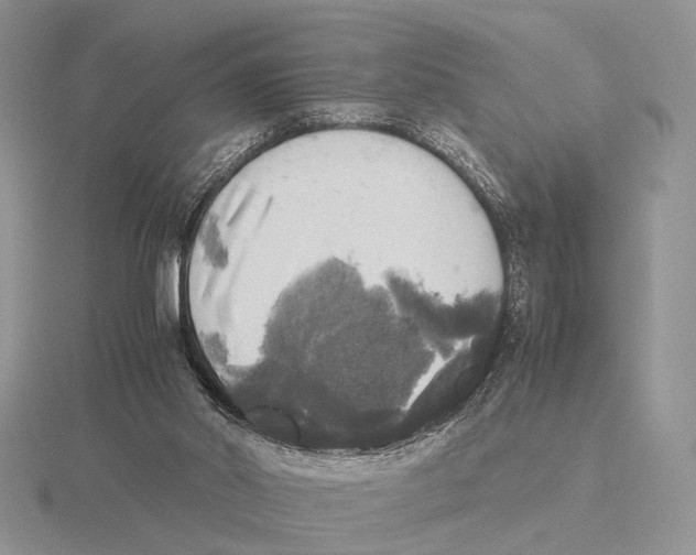 X0000115660014200912101101