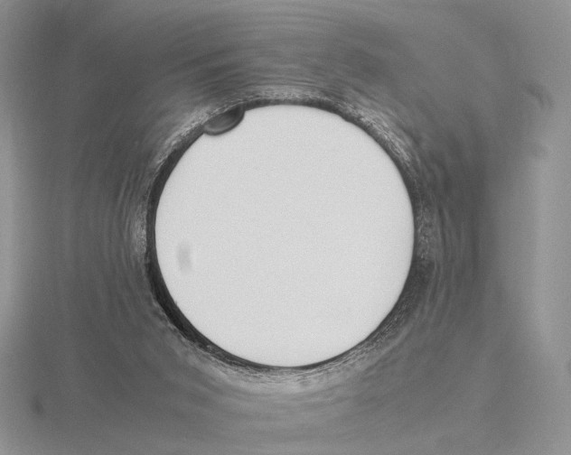 X0000115660015200912101101