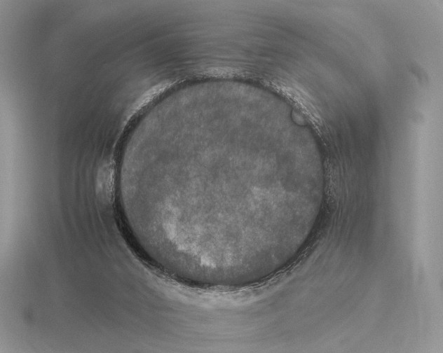 X0000115660016200912101101