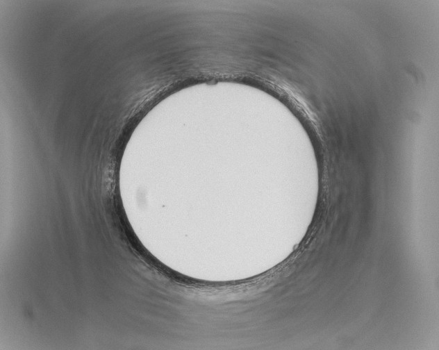 X0000115660017200912101101