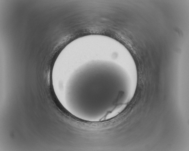 X0000115660019200912101100