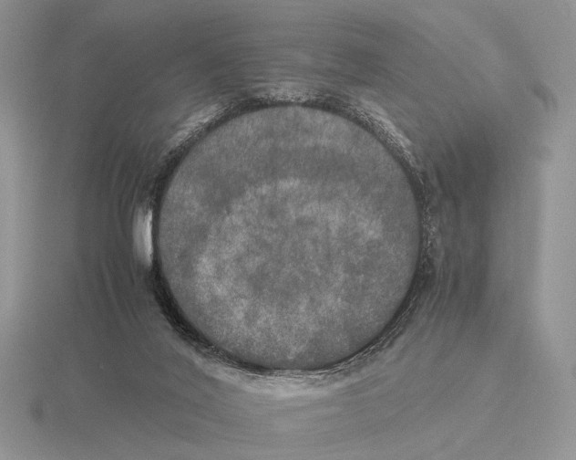 X0000115660020200912101100