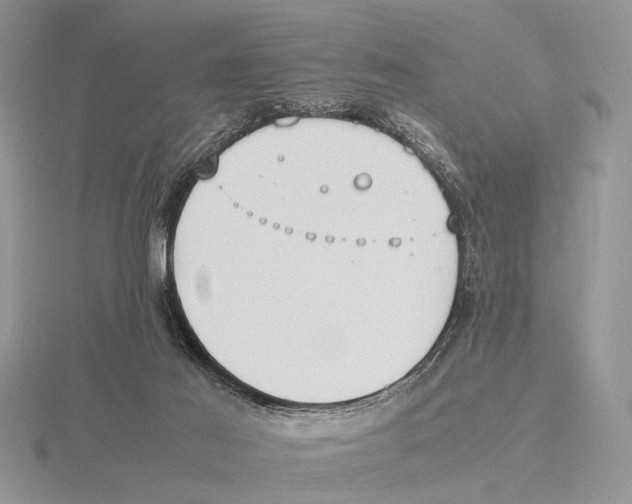 X0000115660021200912101100