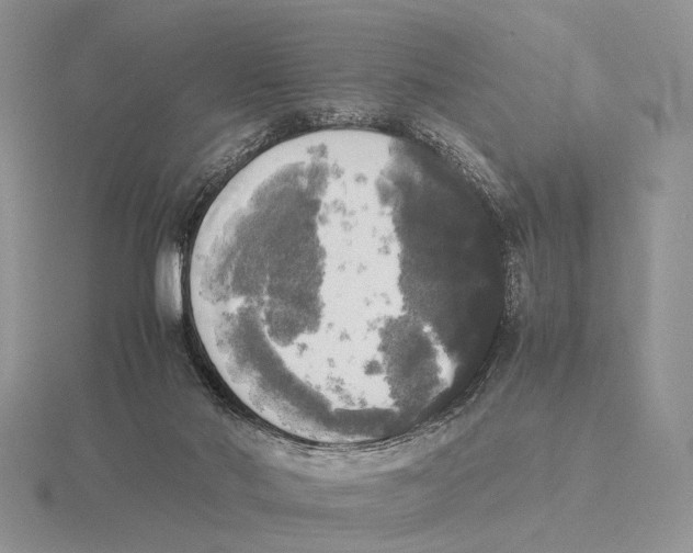 X0000115660022200912101100