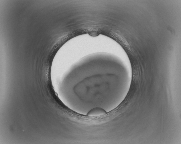 X0000115660023200912101100