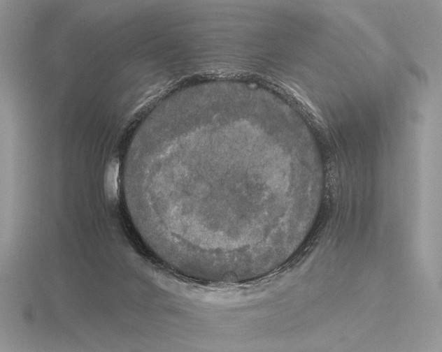 X0000115660024200912101100