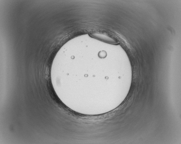 X0000115660025200912101100