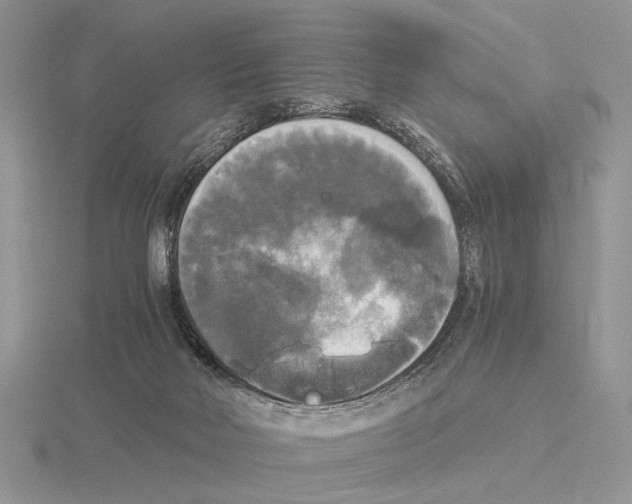 X0000115660026200912101100