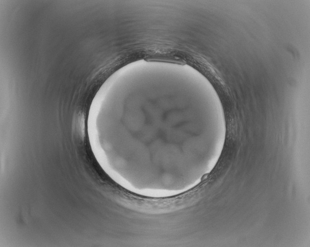 X0000115660027200912101100