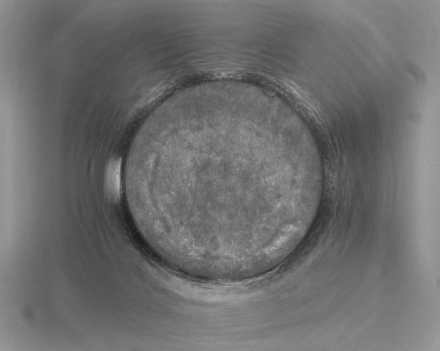 X0000115660028200912101100