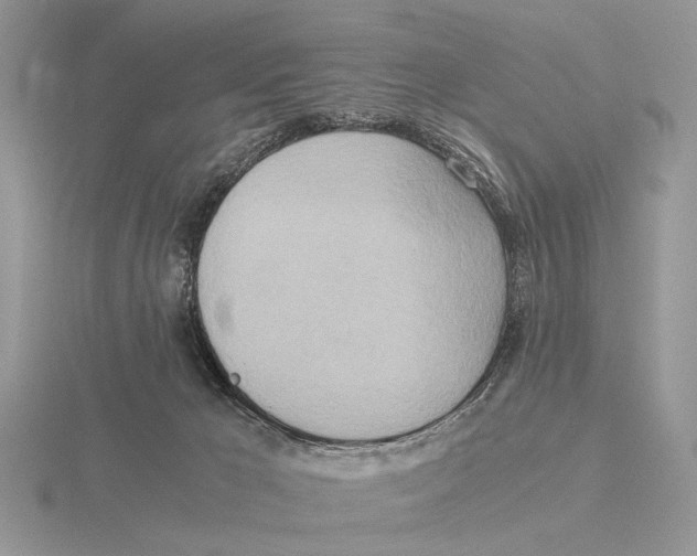 X0000115660029200912101100