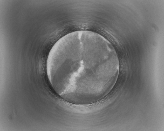 X0000115660030200912101100