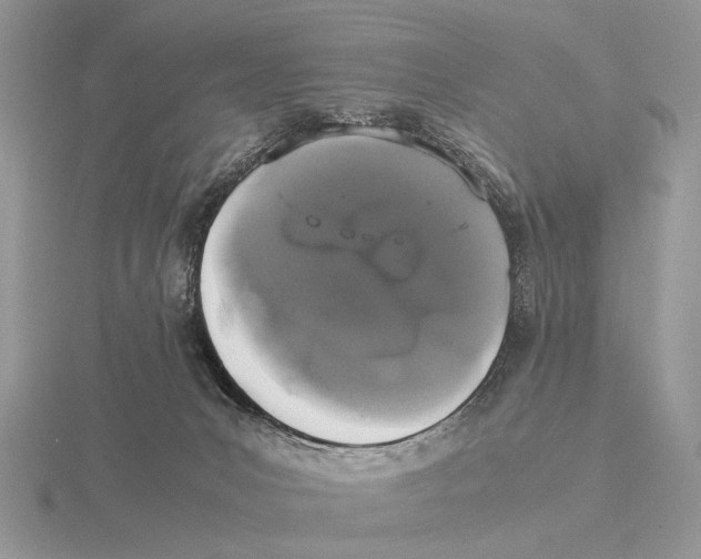 X0000115660031200912101100