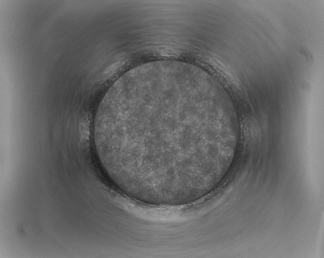 X0000115660032200912101100