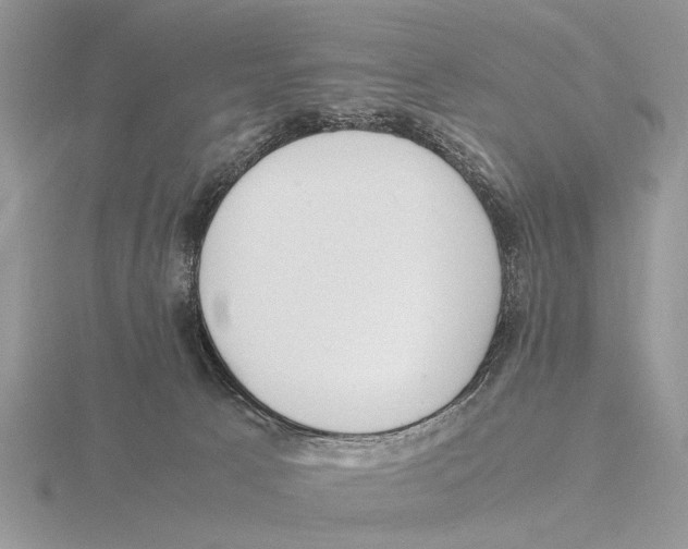 X0000115660033200912101100