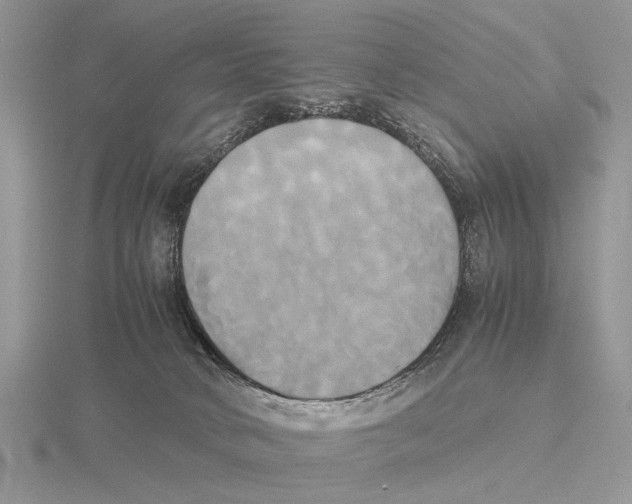 X0000115660034200912101100