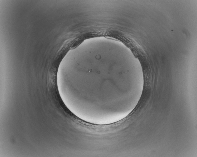 X0000115660035200912101100