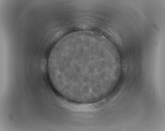 X0000115660036200912101100