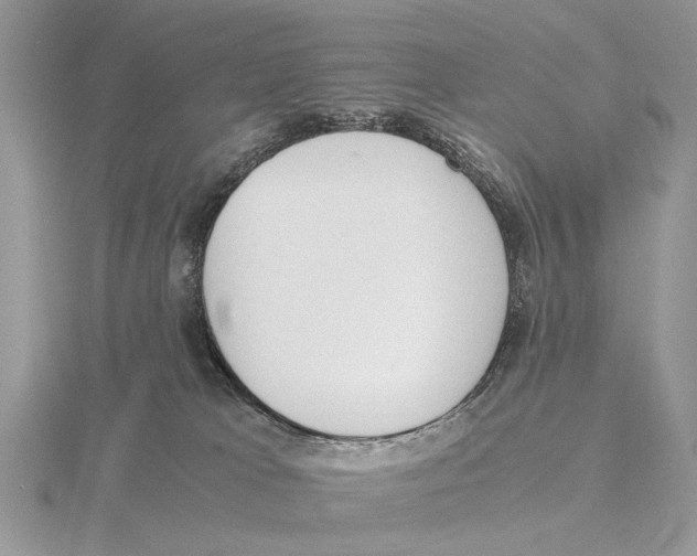 X0000115660037200912101100