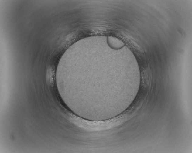 X0000115660038200912101100