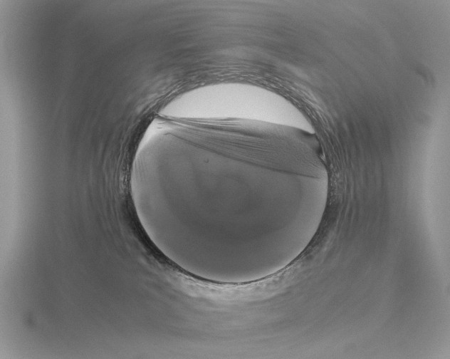 X0000115660039200912101100