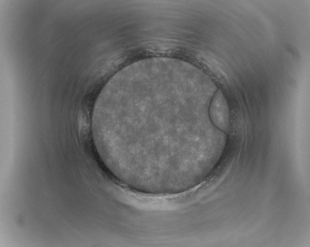 X0000115660040200912101100