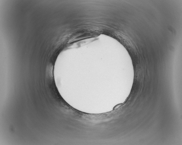 X0000115660041200912101100