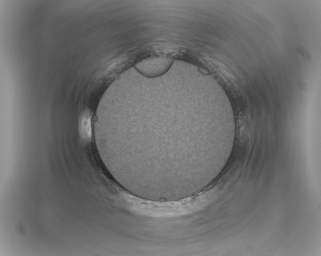 X0000115660042200912101100