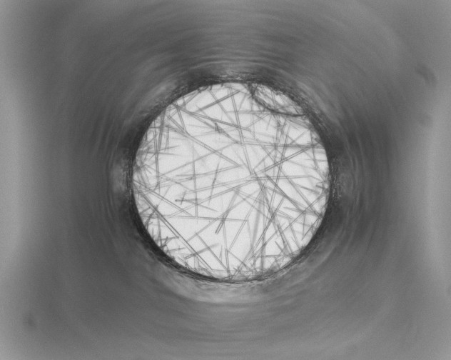 X0000115660044200912101100