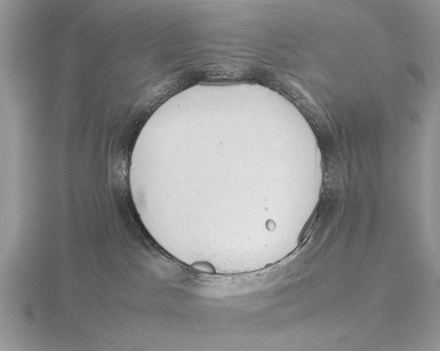 X0000115660045200912101100