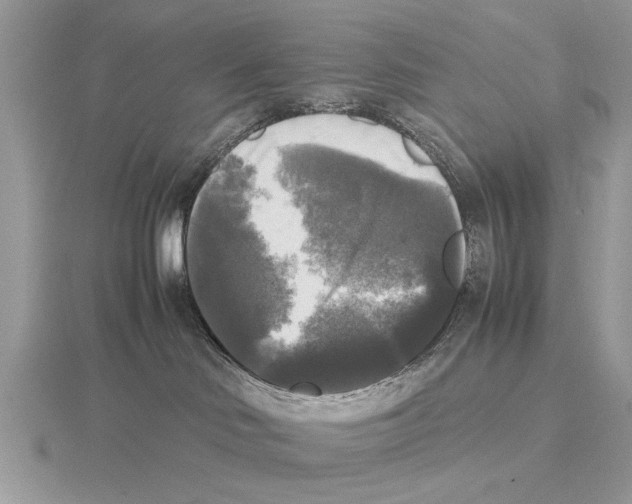 X0000115660046200912101100