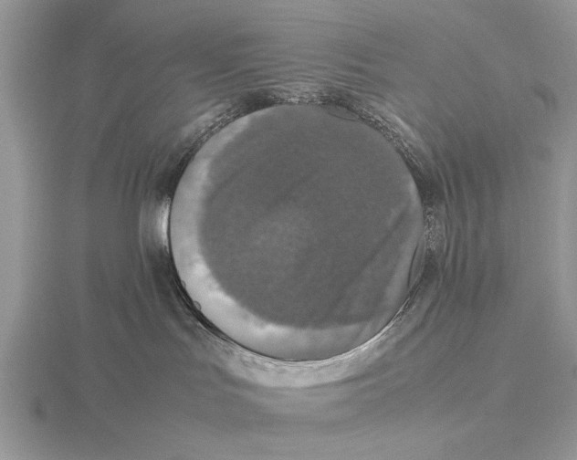 X0000115660047200912101100