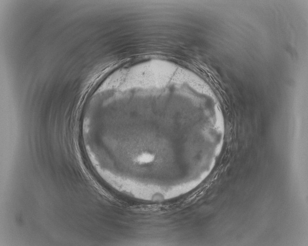 X0000115660049200912101100