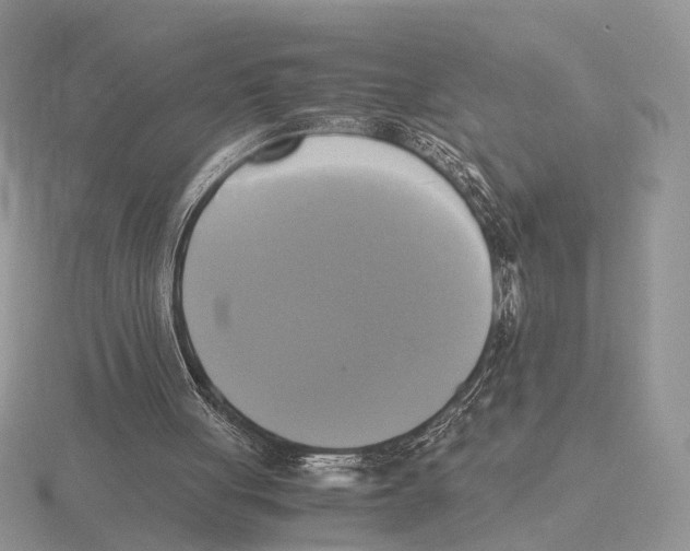 X0000115660051200912101100