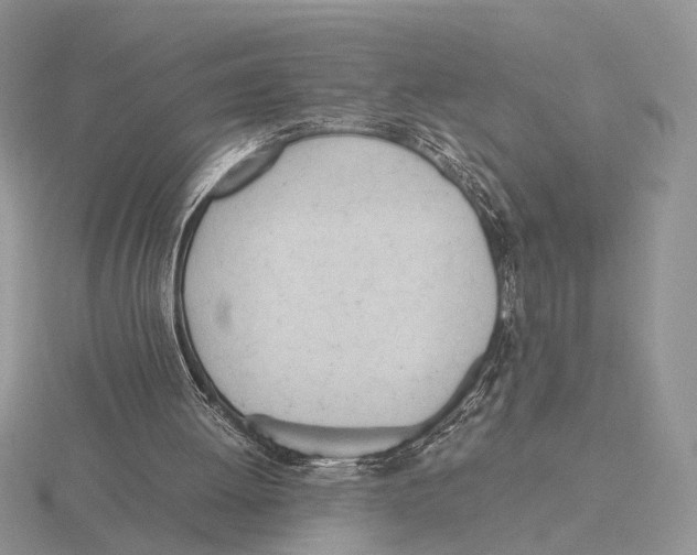 X0000115660052200912101100