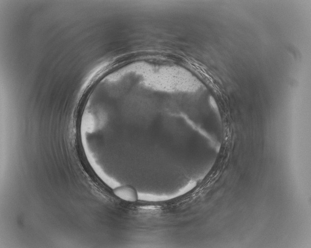 X0000115660053200912101100