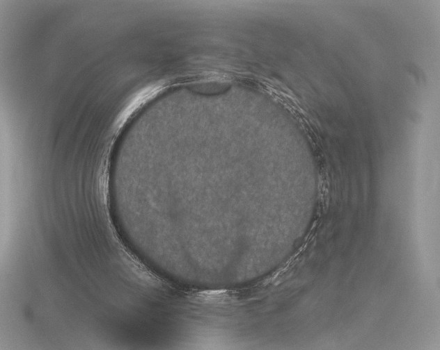 X0000115660054200912101100