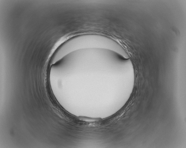 X0000115660056200912101100