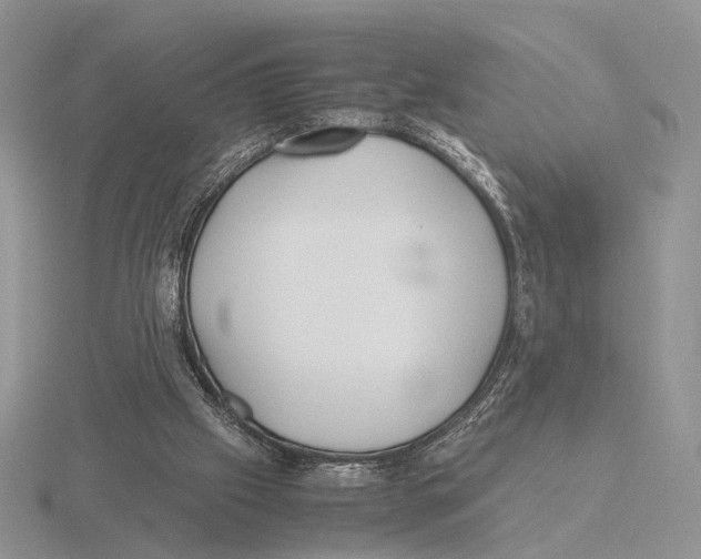 X0000115660057200912101100