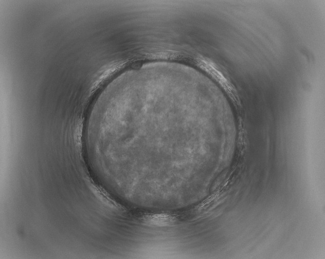 X0000115660058200912101100