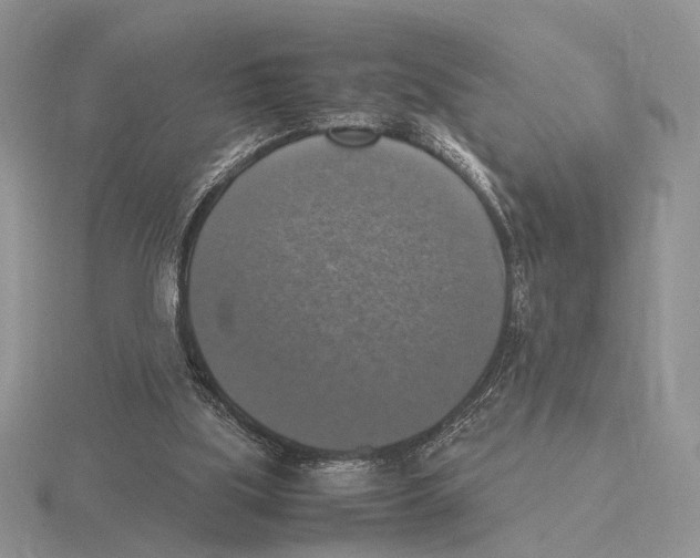 X0000115660059200912101100