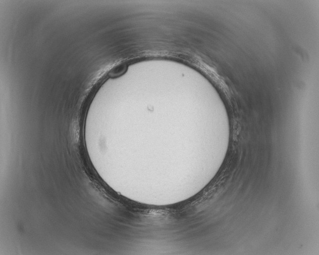 X0000115660060200912101100