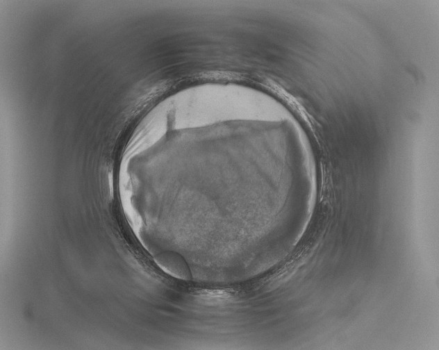 X0000115660061200912101100