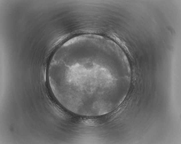 X0000115660062200912101100