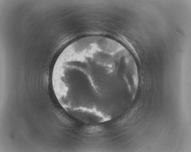 X0000115660063200912101100